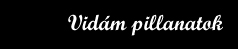 Vidm pillanatok